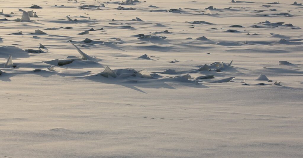 découvrez la randonnée en raquettes : une activité hivernale idéale pour explorer la nature enneigée, adaptée à tous les niveaux et pleine d'aventure.