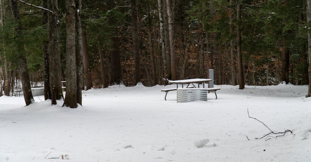 découvrez les meilleures destinations pour la raquette à neige et profitez de paysages hivernaux époustouflants en pleine nature.