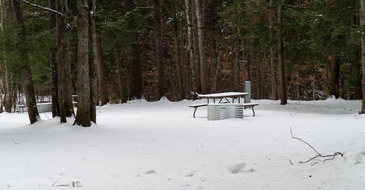 découvrez les meilleures destinations pour la raquette à neige et profitez de paysages hivernaux époustouflants en pleine nature.