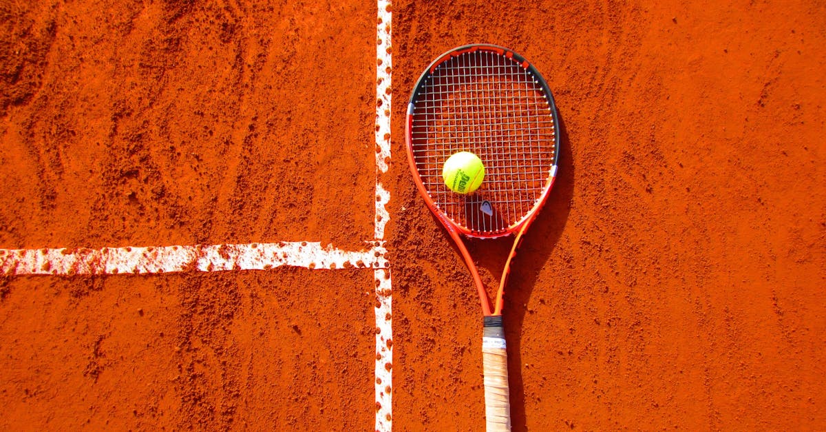 découvrez la raquette de tennis wilson, alliant performance, précision et confort pour tous les joueurs, du débutant au professionnel.