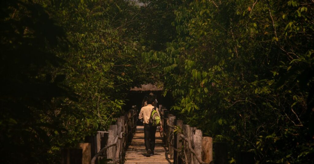 guide de voyage complet au cambodge : découvrez les temples d'angkor, la culture locale, les meilleures astuces et itinéraires pour un séjour inoubliable.