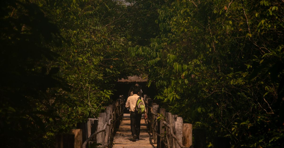 guide de voyage complet au cambodge : découvrez les temples d'angkor, la culture locale, les meilleures astuces et itinéraires pour un séjour inoubliable.